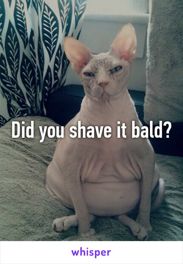 Did you shave it bald?