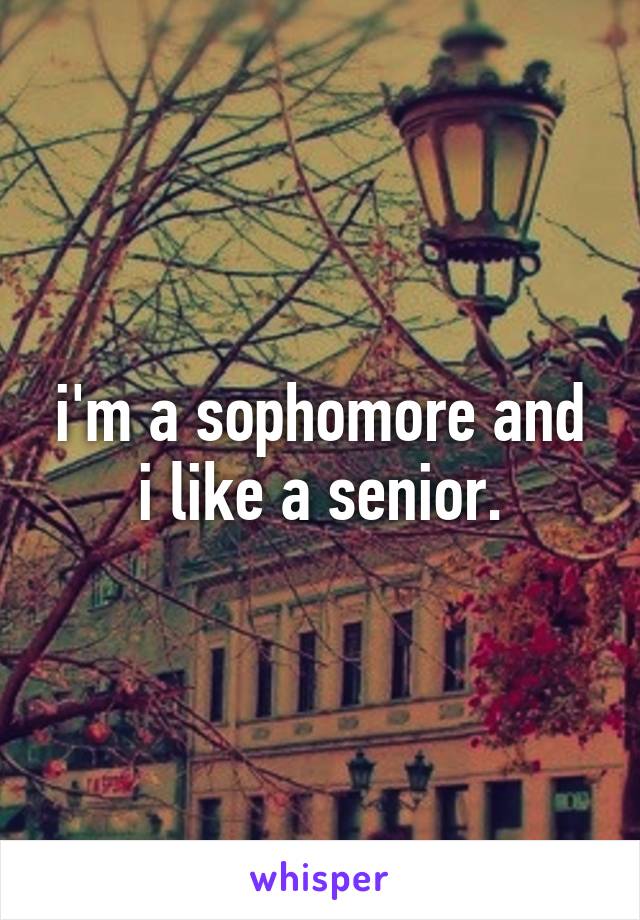 i'm a sophomore and i like a senior.