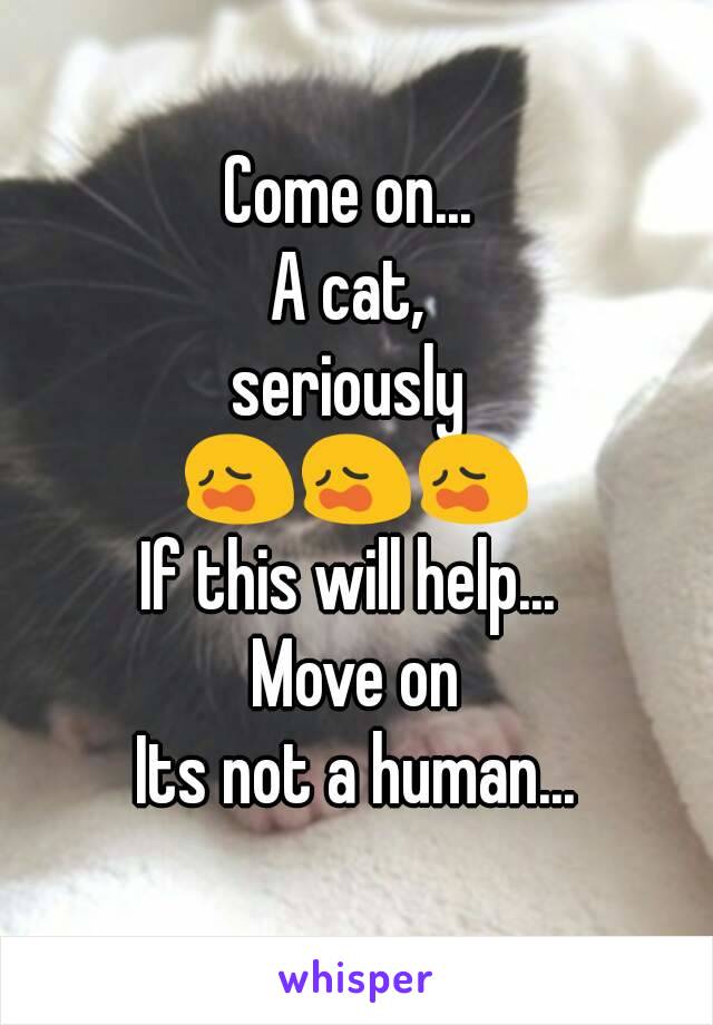 Come on... 
A cat, 
seriously 
😩😩😩
If this will help... 
Move on
Its not a human...