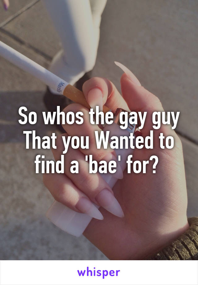 So whos the gay guy That you Wanted to find a 'bae' for? 