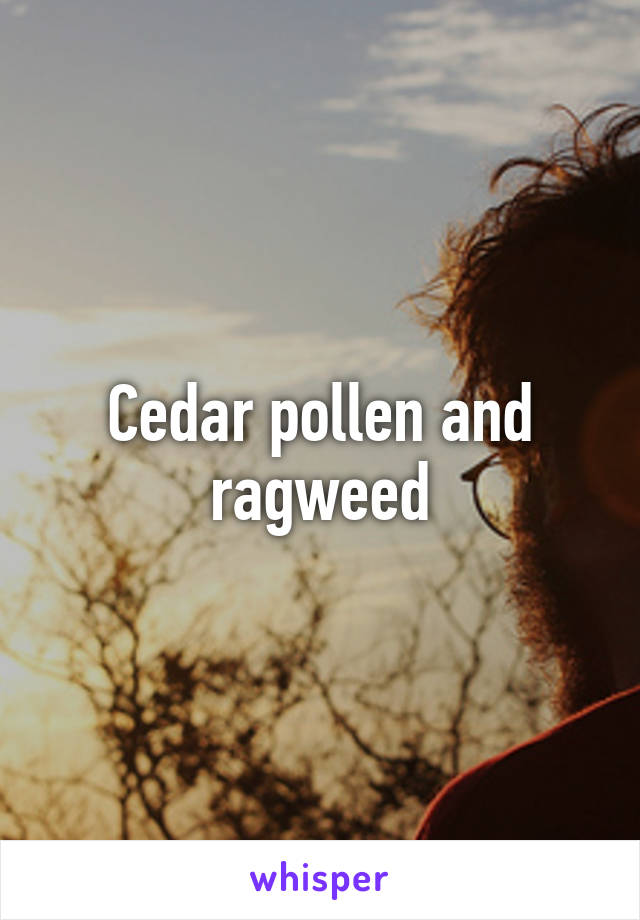 Cedar pollen and ragweed