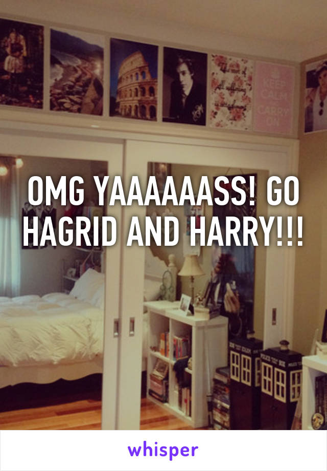 OMG YAAAAAASS! GO HAGRID AND HARRY!!! 