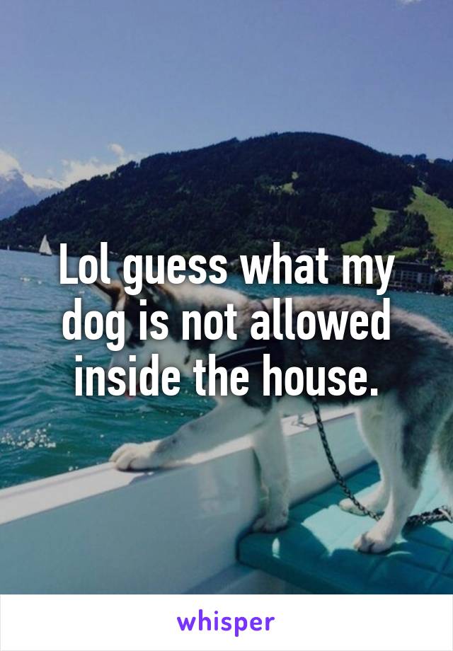 Lol guess what my dog is not allowed inside the house.