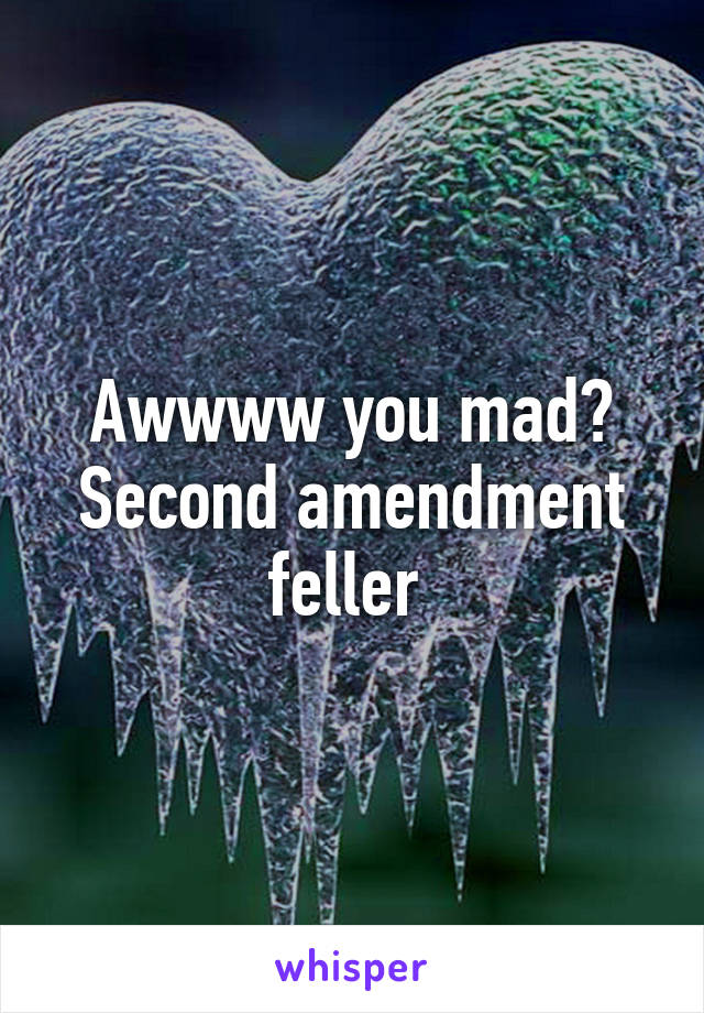 Awwww you mad? Second amendment feller 