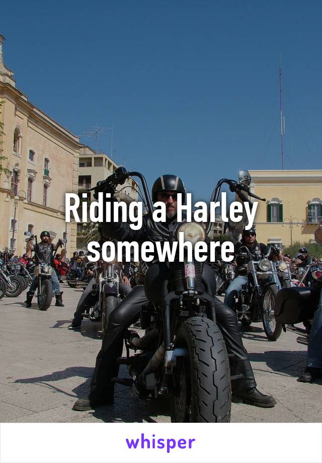 Riding a Harley somewhere