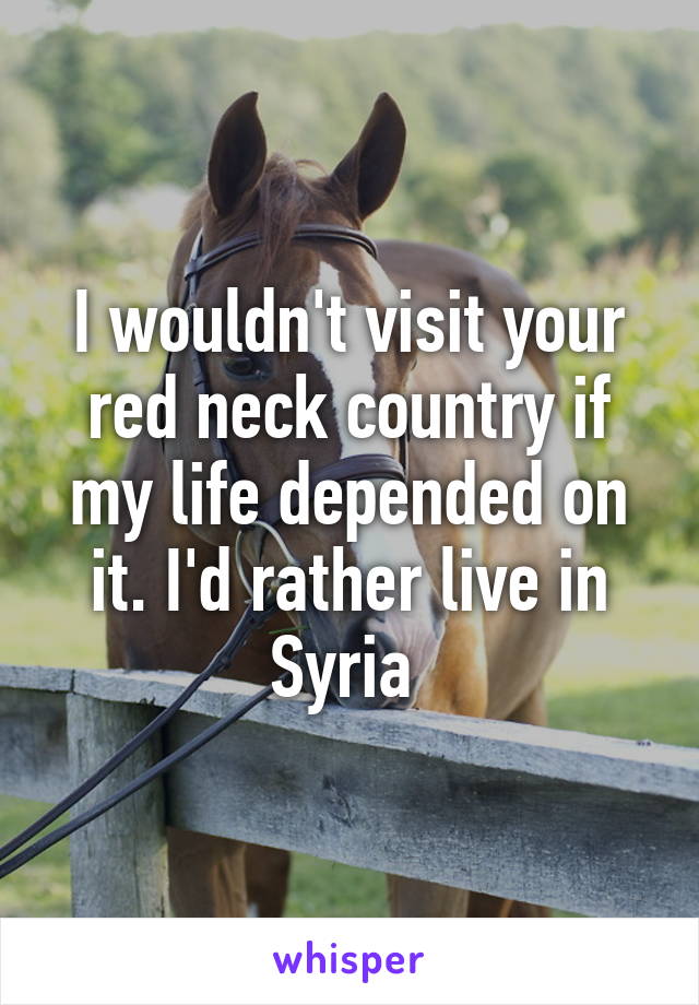 I wouldn't visit your red neck country if my life depended on it. I'd rather live in Syria 