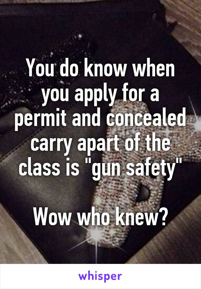 You do know when you apply for a permit and concealed carry apart of the class is "gun safety"

Wow who knew?