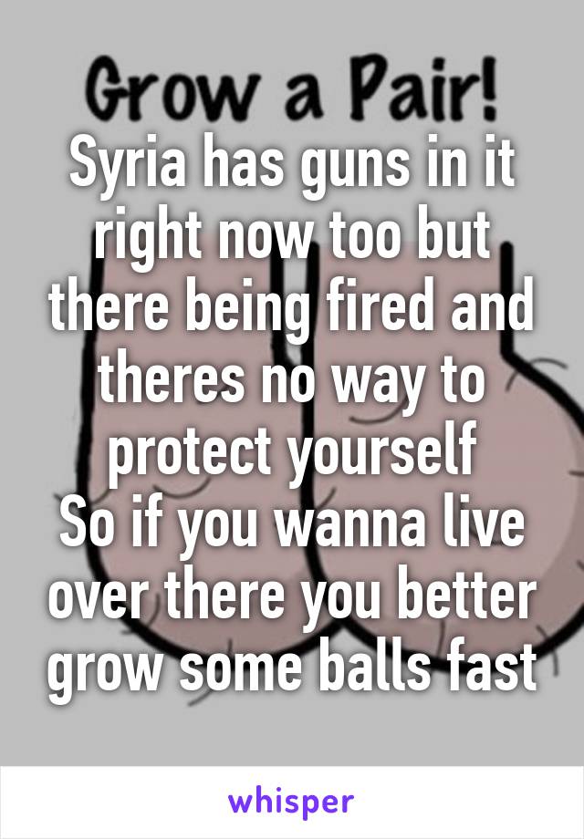 Syria has guns in it right now too but there being fired and theres no way to protect yourself
So if you wanna live over there you better grow some balls fast