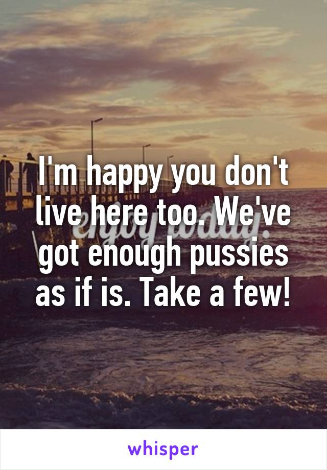 I'm happy you don't live here too. We've got enough pussies as if is. Take a few!