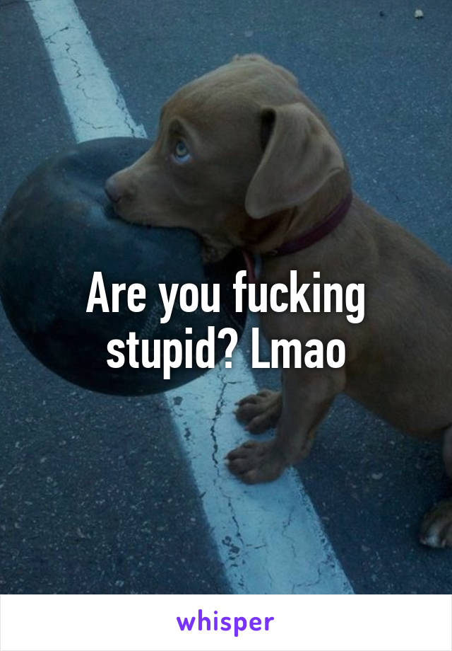 Are you fucking stupid? Lmao