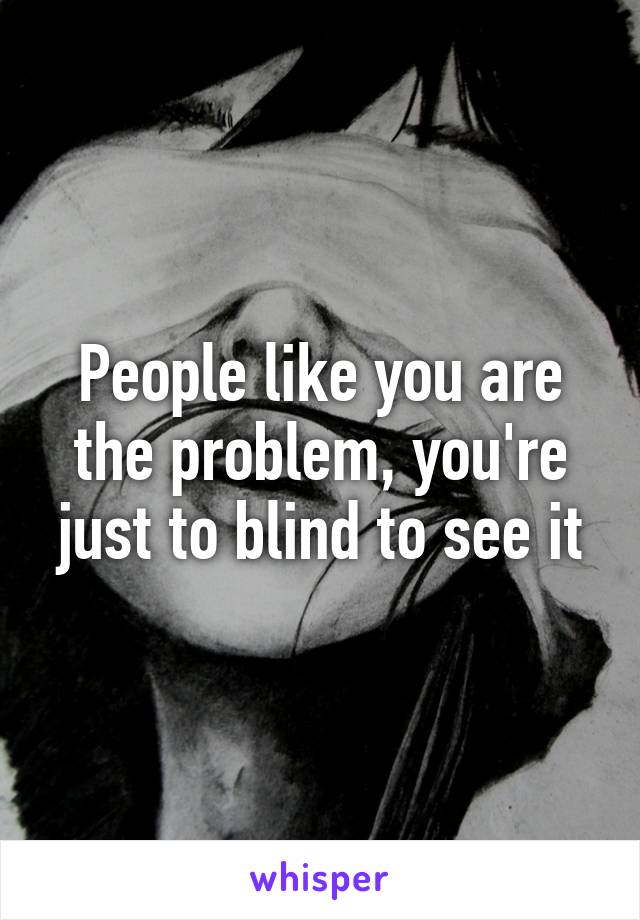 People like you are the problem, you're just to blind to see it