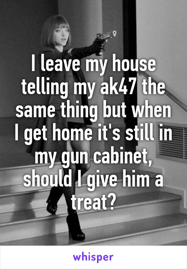 I leave my house telling my ak47 the same thing but when I get home it's still in my gun cabinet, should I give him a treat?