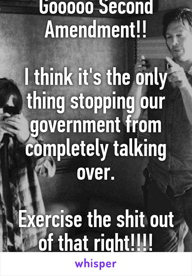 Gooooo Second Amendment!!

I think it's the only thing stopping our government from completely talking over.

Exercise the shit out of that right!!!!
