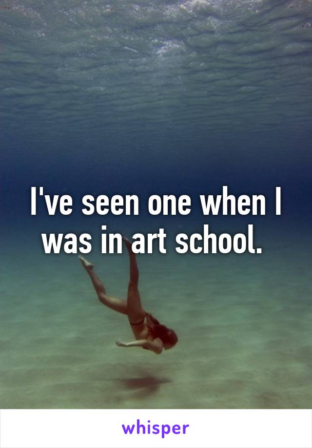 I've seen one when I was in art school. 