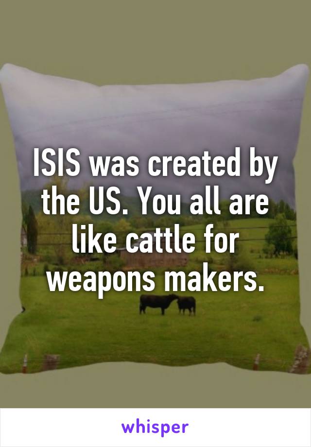 ISIS was created by the US. You all are like cattle for weapons makers.