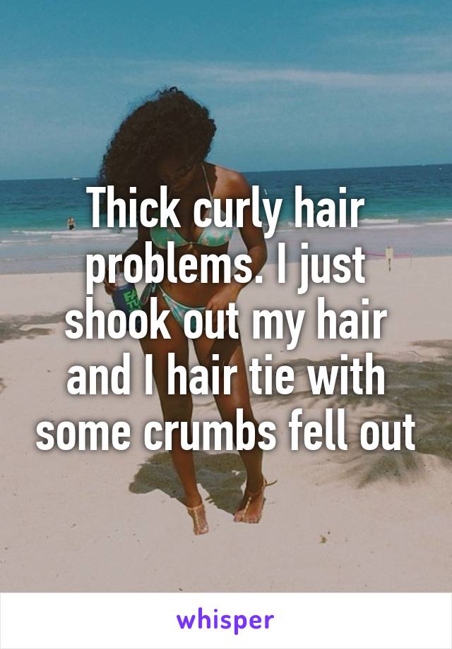 Thick curly hair problems. I just shook out my hair and I hair tie with some crumbs fell out