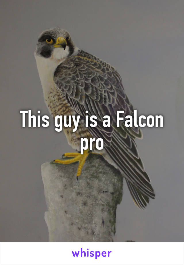 This guy is a Falcon pro