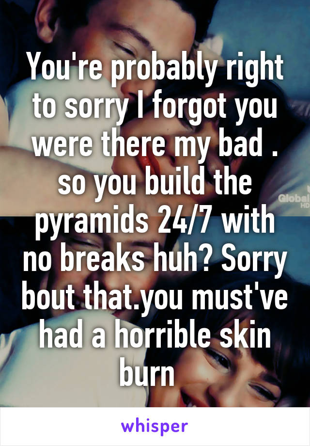 You're probably right to sorry I forgot you were there my bad . so you build the pyramids 24/7 with no breaks huh? Sorry bout that.you must've had a horrible skin burn  