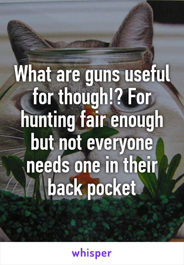 What are guns useful for though!? For hunting fair enough but not everyone needs one in their back pocket