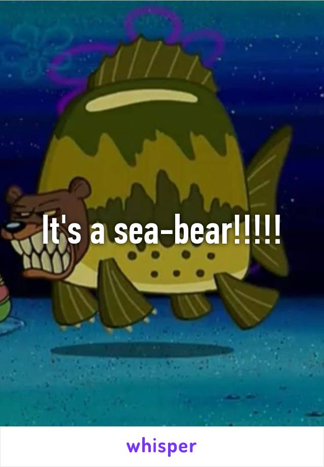 It's a sea-bear!!!!!