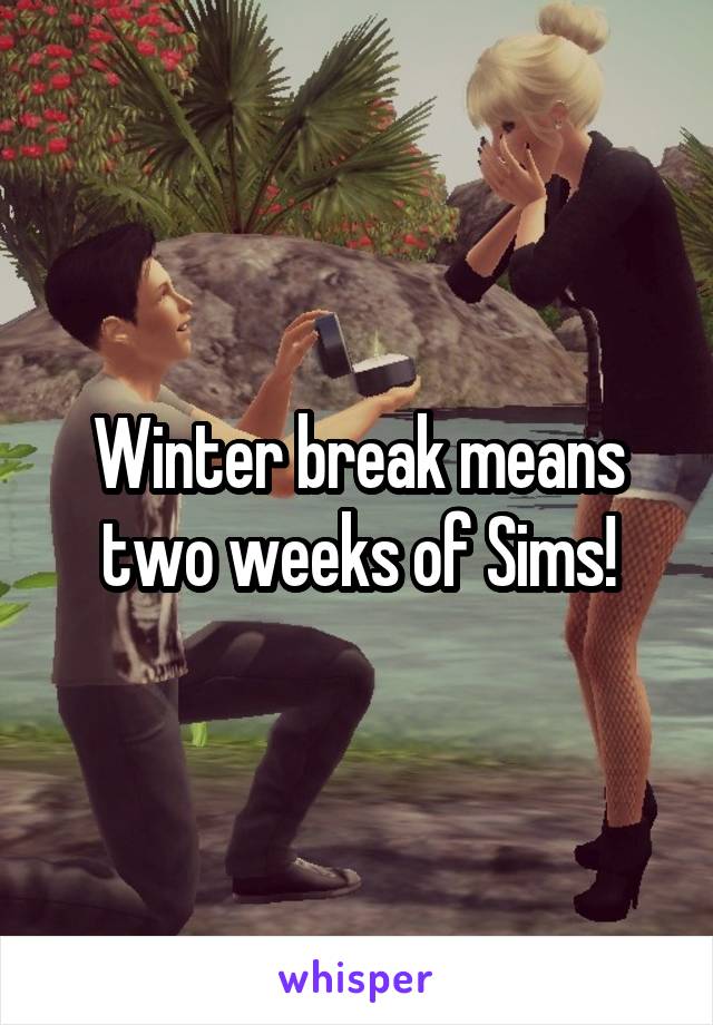 Winter break means two weeks of Sims!