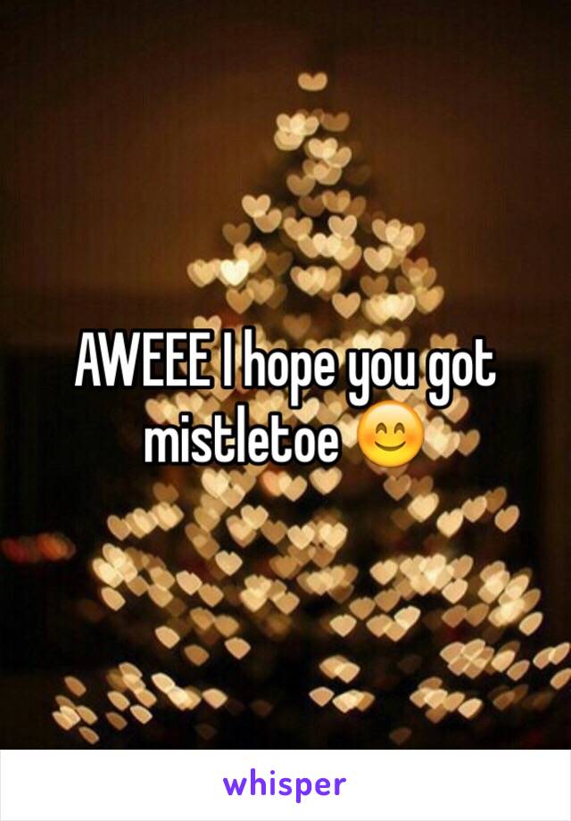 AWEEE I hope you got mistletoe 😊