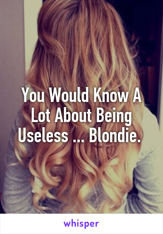 You Would Know A Lot About Being Useless ... Blondie. 