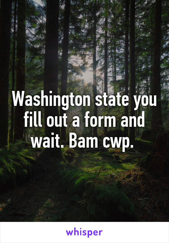 Washington state you fill out a form and wait. Bam cwp. 