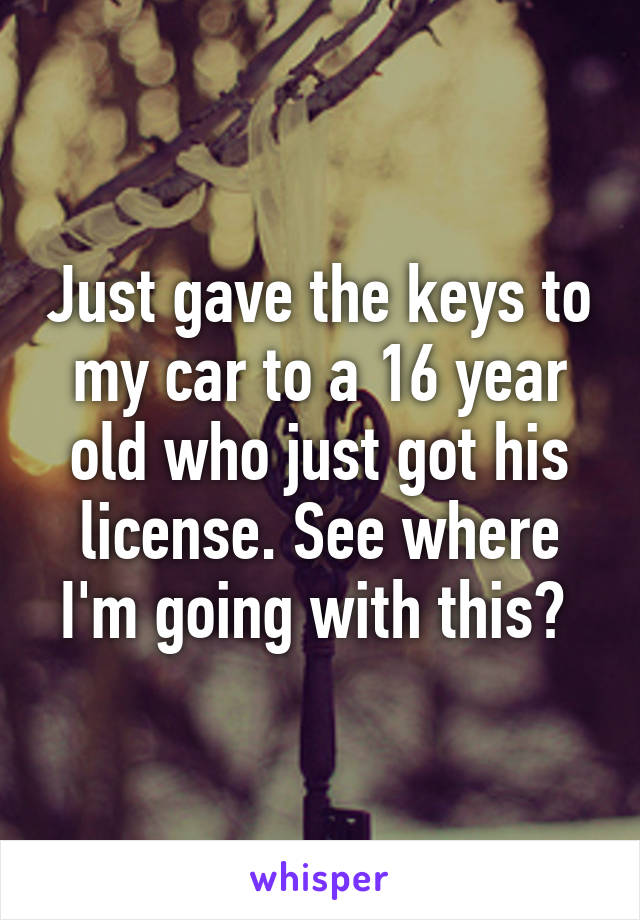 Just gave the keys to my car to a 16 year old who just got his license. See where I'm going with this? 