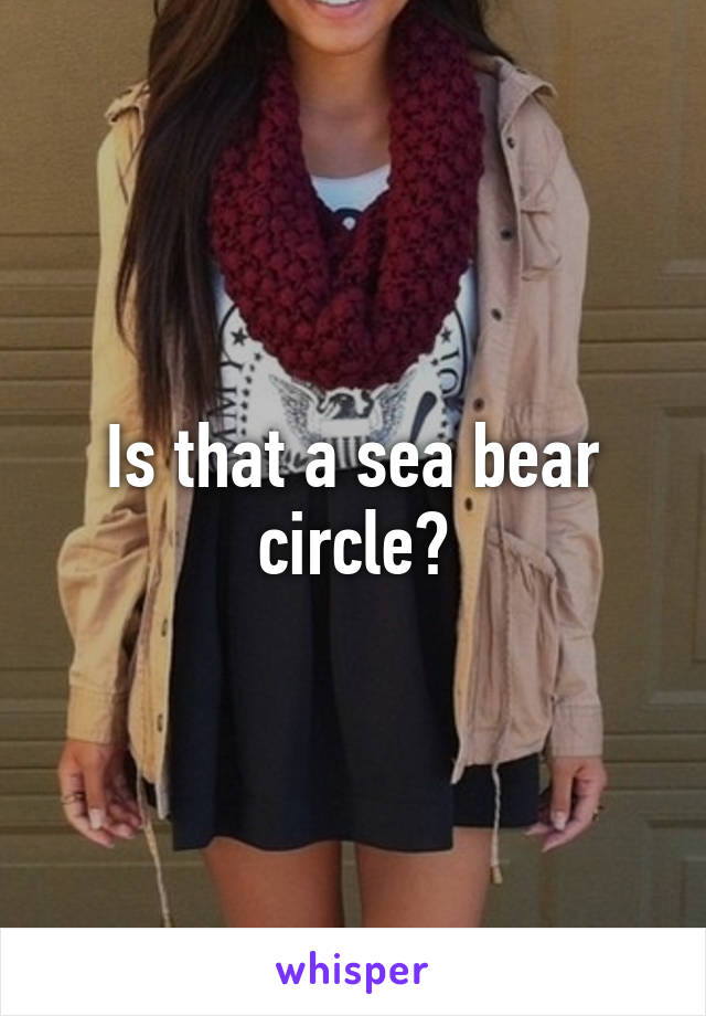 Is that a sea bear circle?