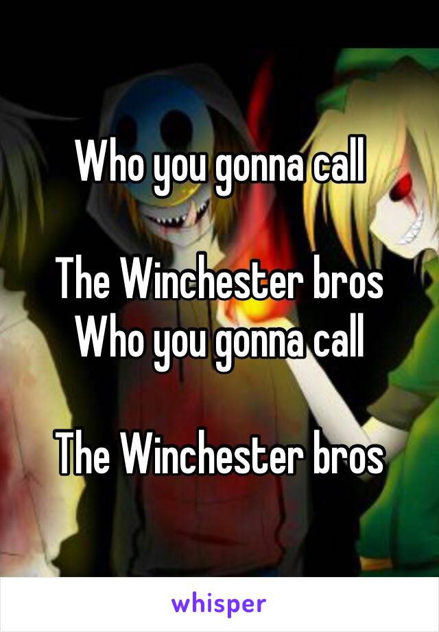 Who you gonna call

The Winchester bros 
Who you gonna call

The Winchester bros