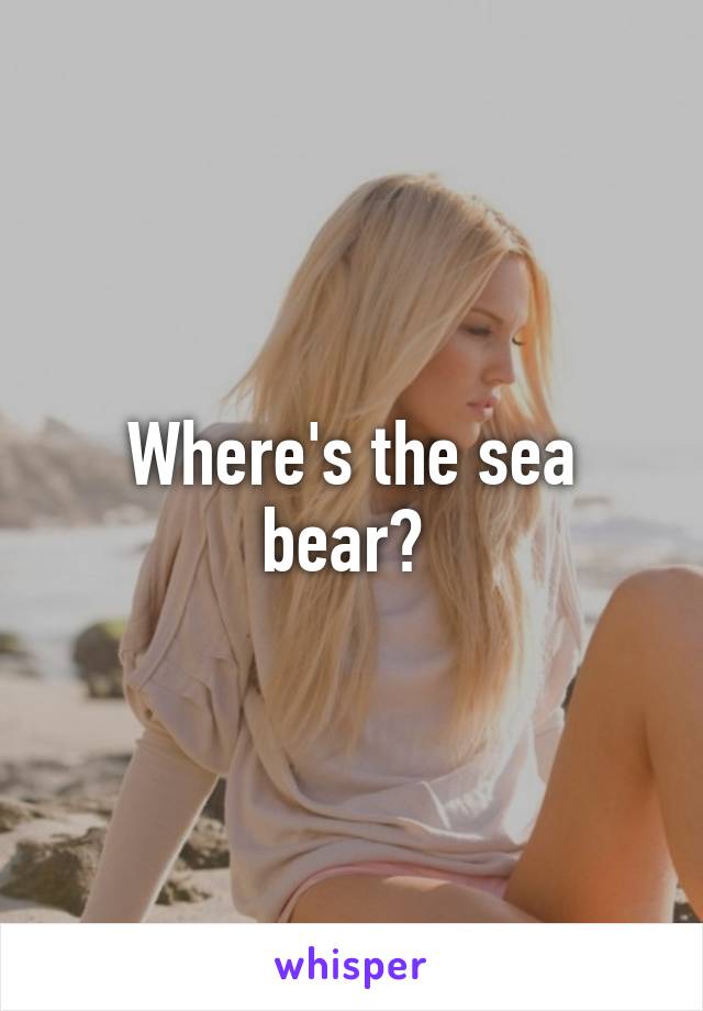 Where's the sea bear? 