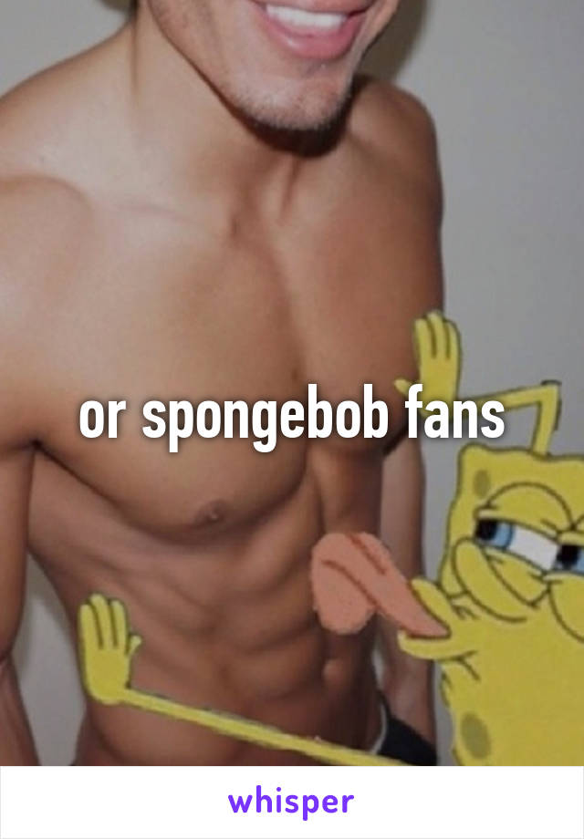 or spongebob fans