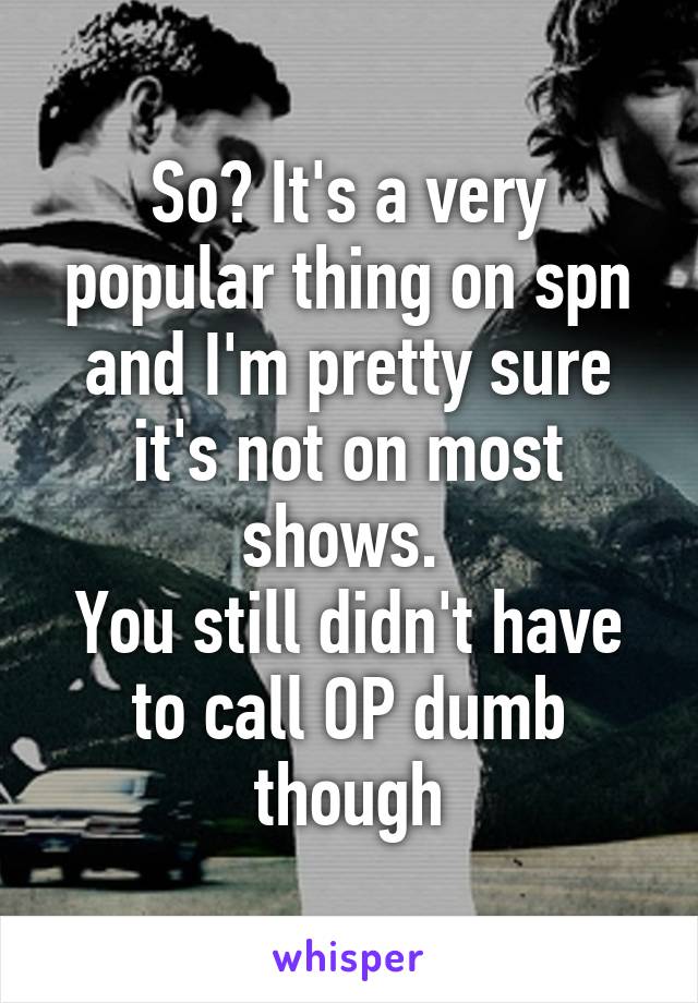 So? It's a very popular thing on spn and I'm pretty sure it's not on most shows. 
You still didn't have to call OP dumb though