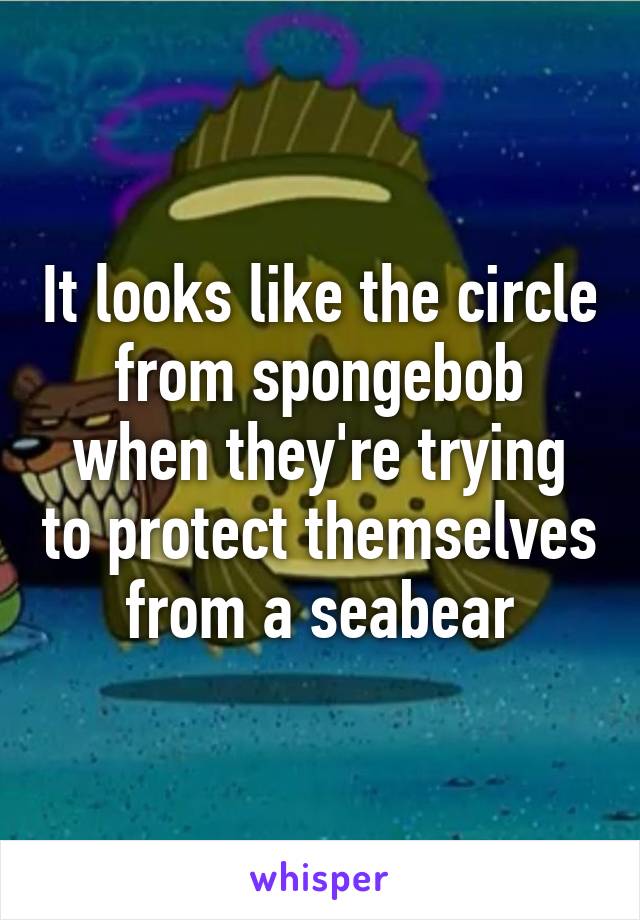 It looks like the circle from spongebob when they're trying to protect themselves from a seabear