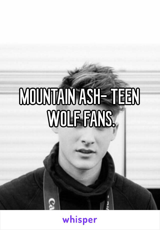 MOUNTAIN ASH- TEEN WOLF FANS.