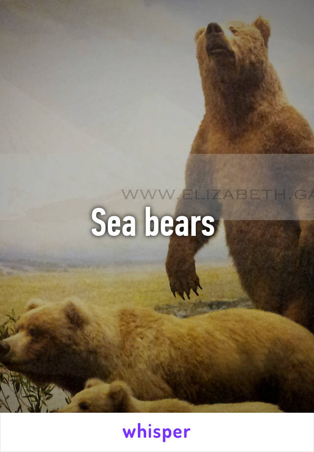 Sea bears 