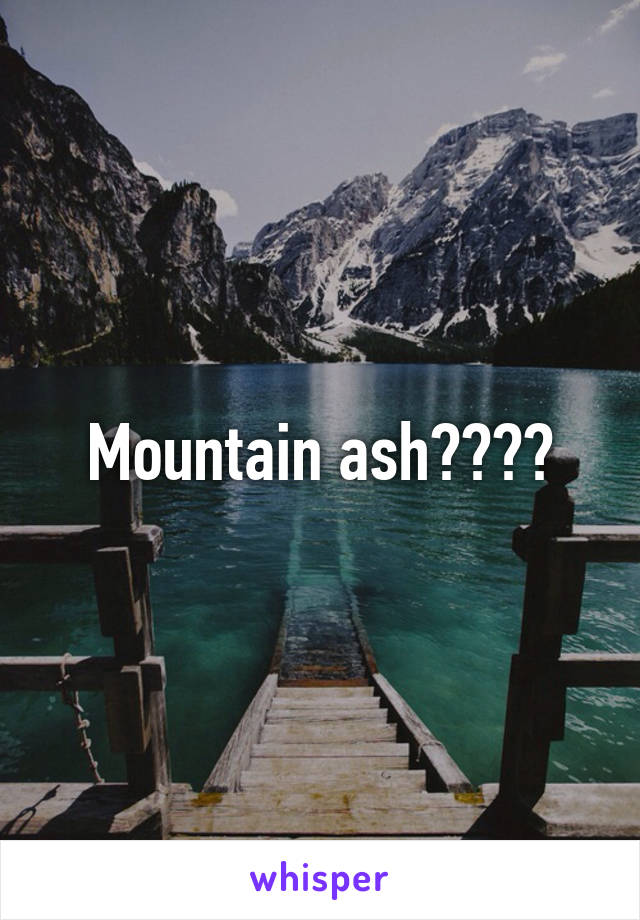 Mountain ash????