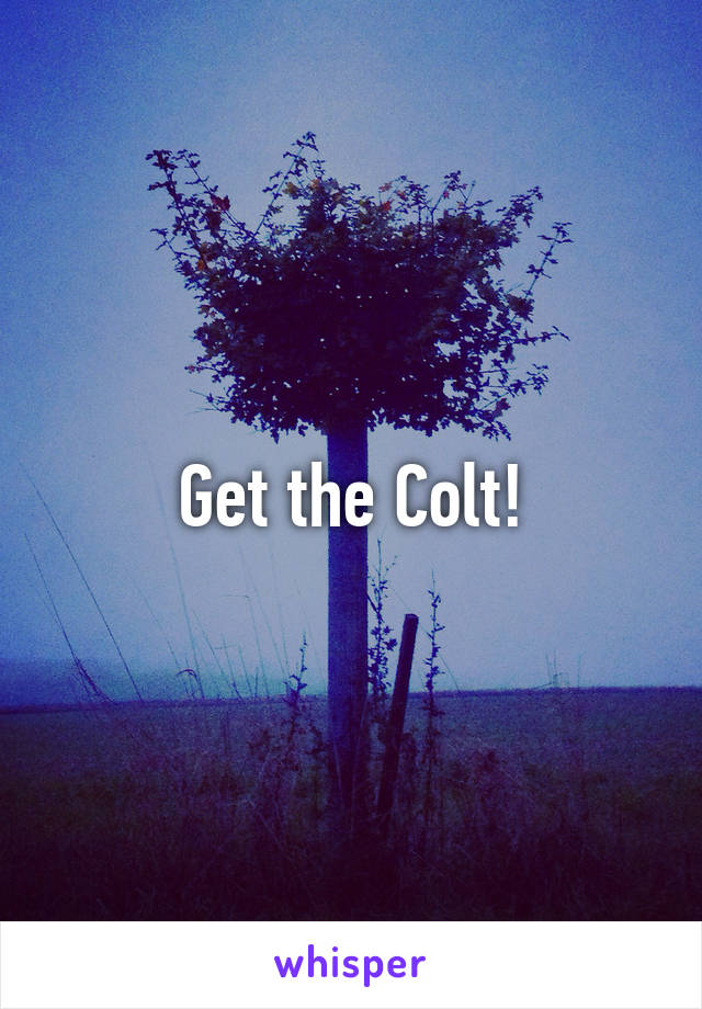 Get the Colt!