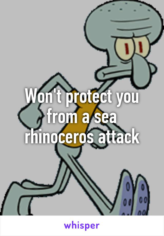 Won't protect you from a sea rhinoceros attack