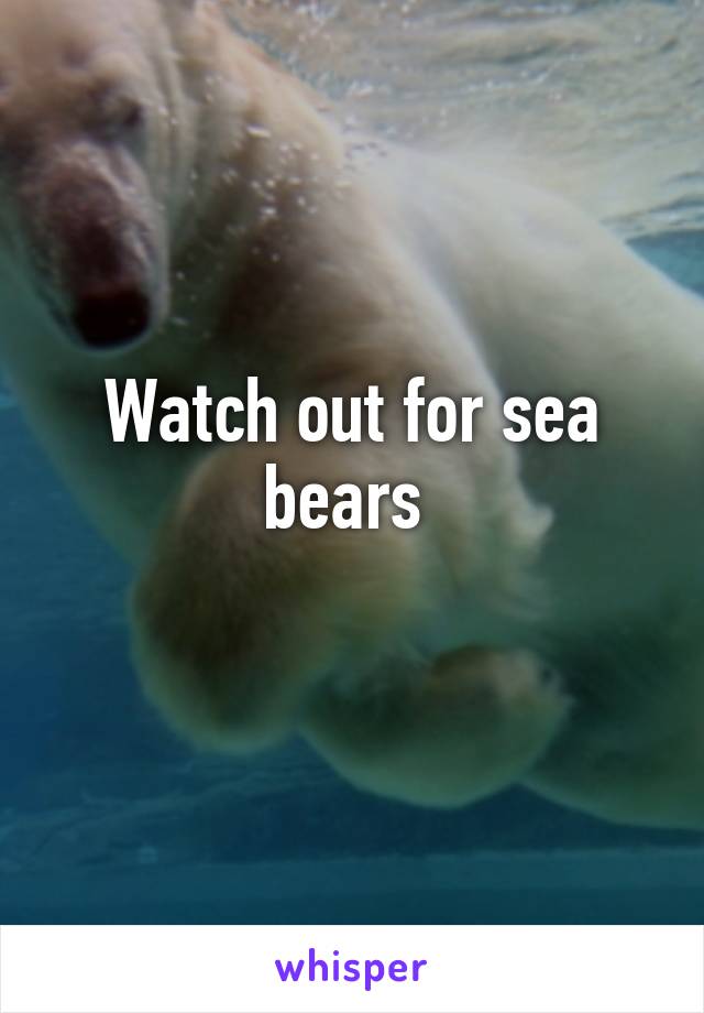 Watch out for sea bears 
