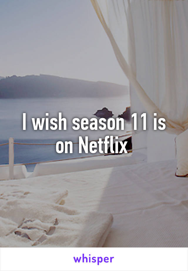 I wish season 11 is on Netflix 