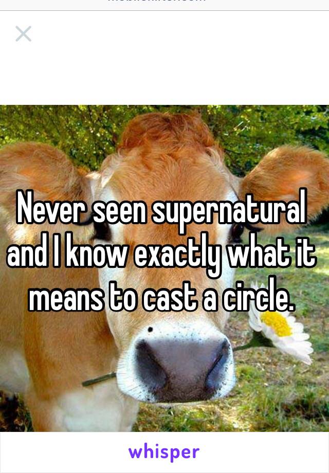 Never seen supernatural and I know exactly what it means to cast a circle.