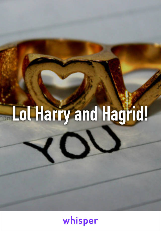 Lol Harry and Hagrid!