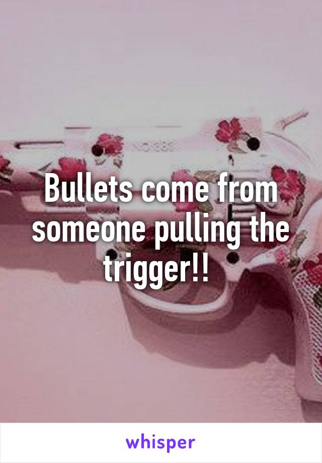 Bullets come from someone pulling the trigger!! 