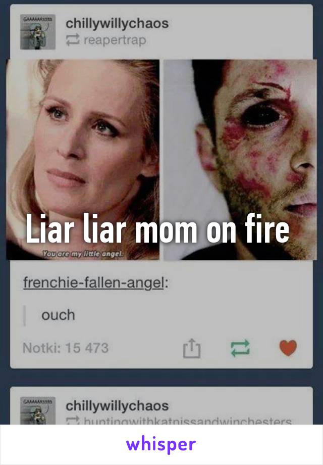 Liar liar mom on fire 