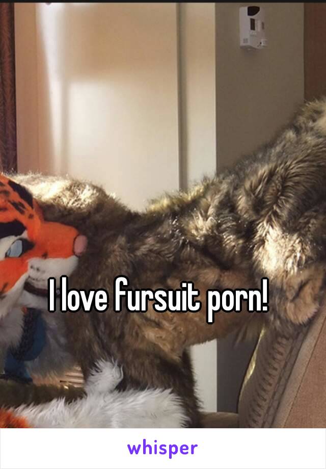 I love fursuit porn! 