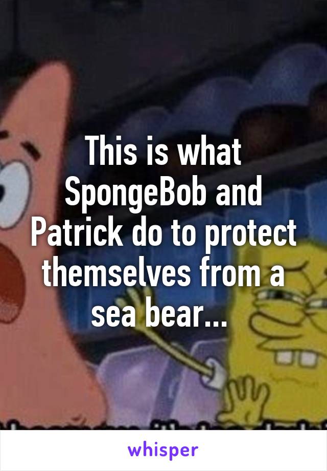 This is what SpongeBob and Patrick do to protect themselves from a sea bear... 