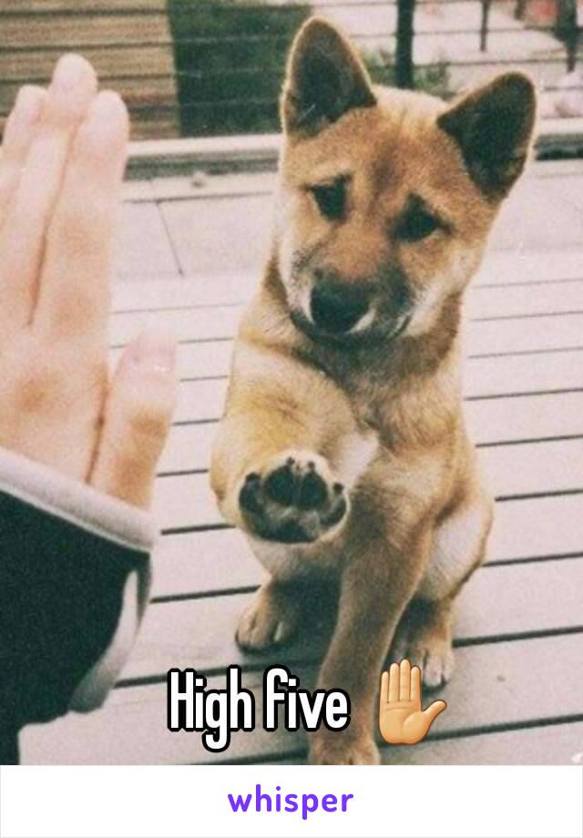 High five ✋