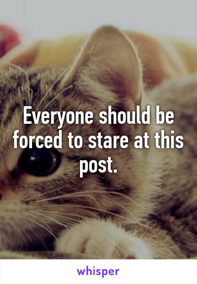 Everyone should be forced to stare at this post.